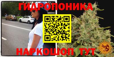 spice Малоярославец