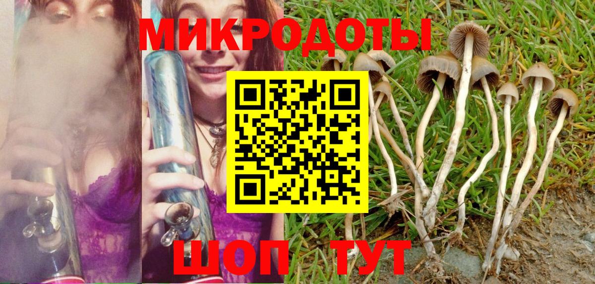 Псилоцибиновые грибы ЛСД Фролово