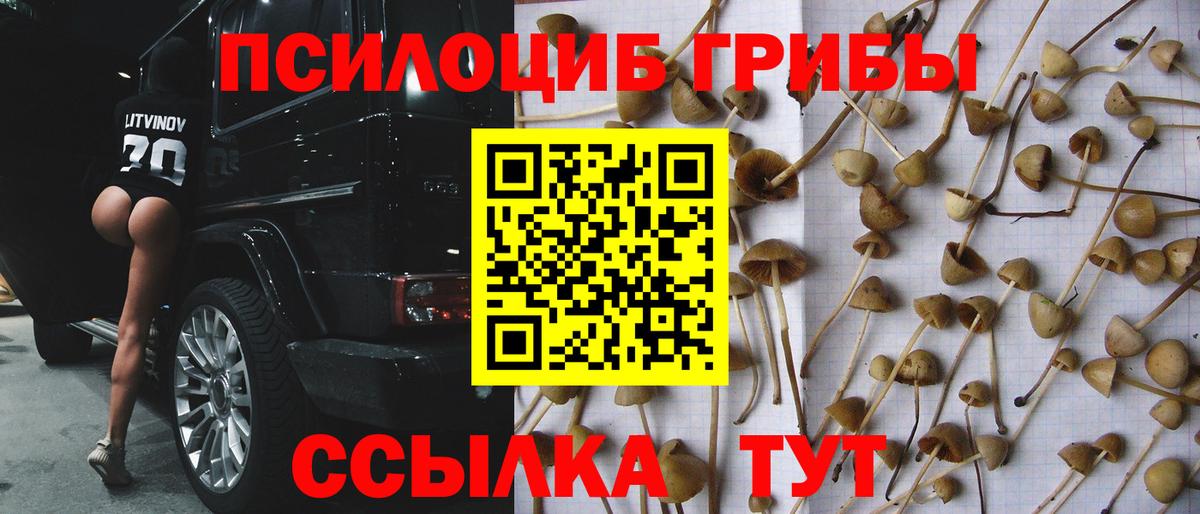 Галлюциногенные грибы Magic Shrooms  Вход с VPN  Фролово 